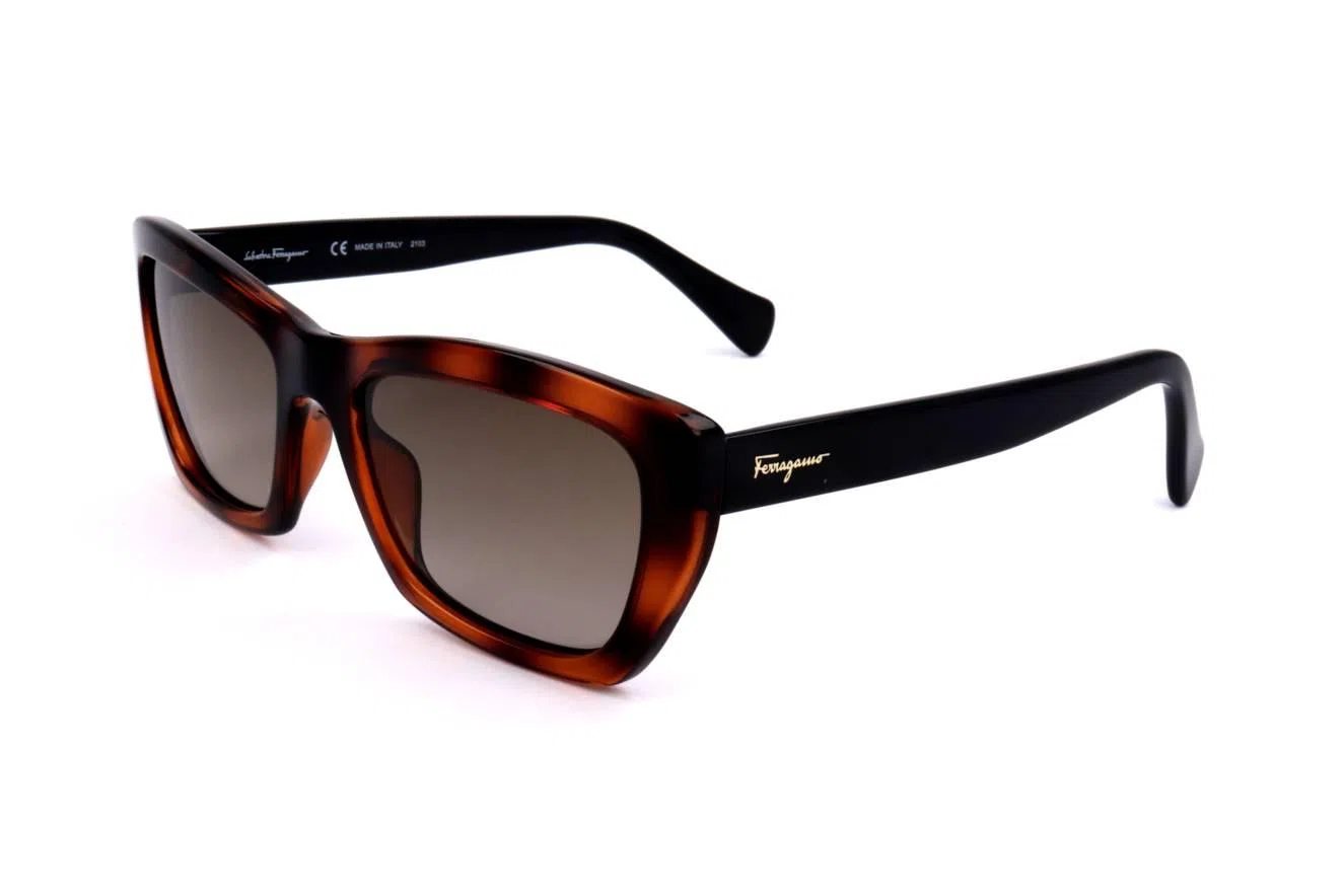 Ferragamo SF958S Sunglasses - view 4